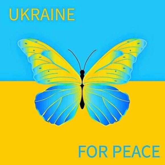 Meet your Posher, Caterina - Picture 1 of 1